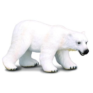 「芃芃玩具」COLLECTA 動物模型 北極熊 R88214 貨號88214