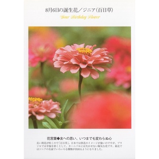 33明信片本舖 日本進口明信片8月生日花誕生花明信片 單張入 蝦皮購物
