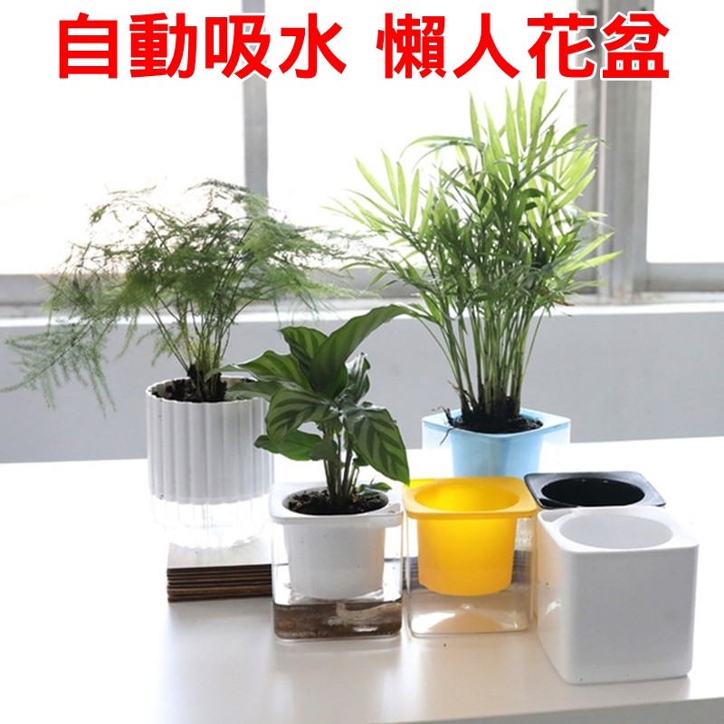 自動給水花盆 優惠推薦 22年4月 蝦皮購物台灣