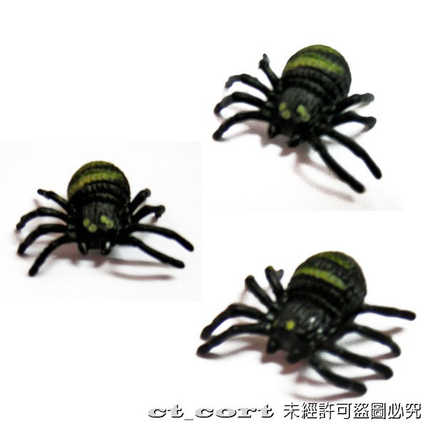2.5~3元仿真蜘蛛 假蜘蛛 黑蜘蛛 大蜘蛛 整人蜘蛛 整人玩具/嚇人玩具