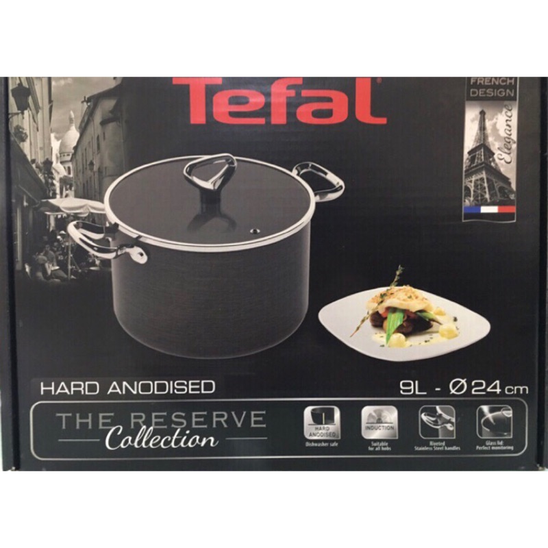 Tefal 法國特福 24cm  九公升 湯鍋