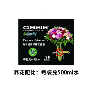 人氣推薦商品與線上折扣優惠 海芋小屋 植動力plants Power 蝦皮台灣