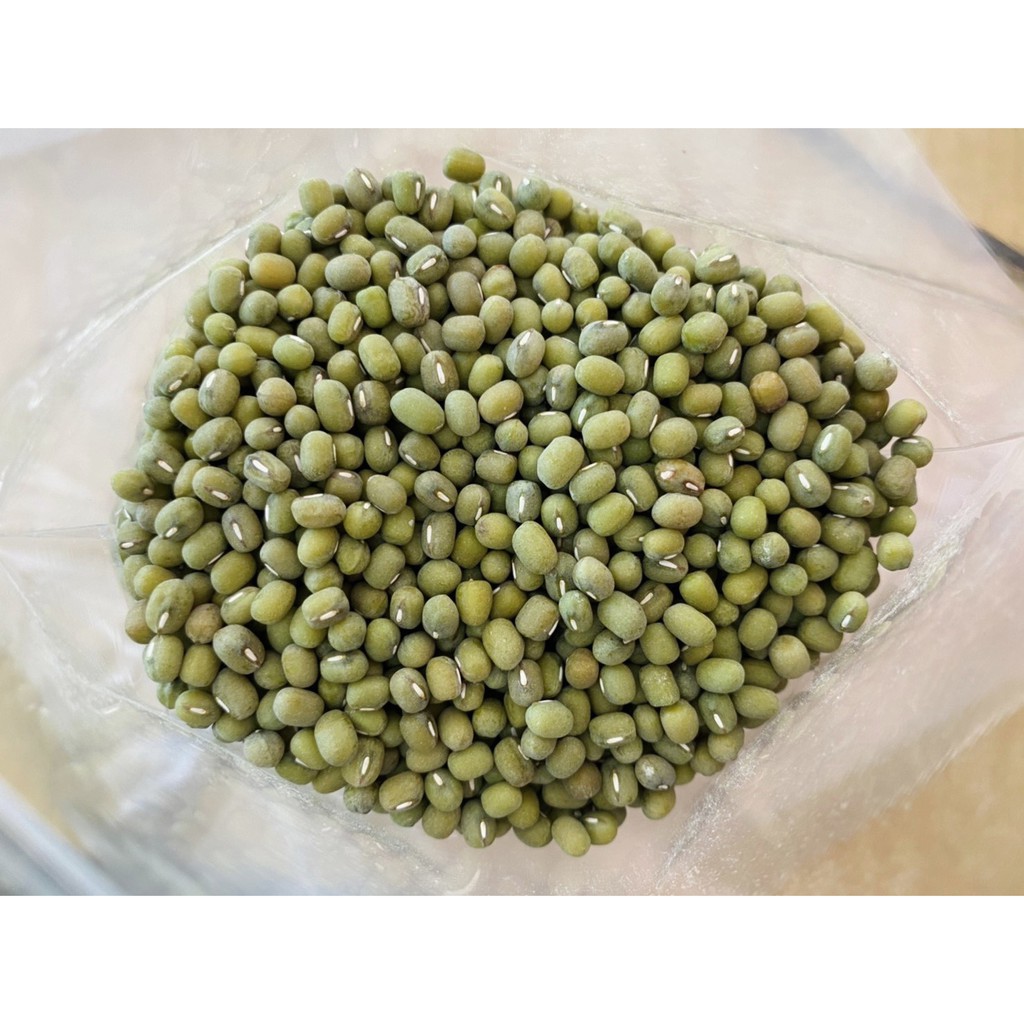 ✨嚴選 粉綠豆 毛綠豆 每包重量600公克 綠豆湯 超綿密 現貨