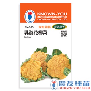 《農友種苗》特選蔬果種子 SV-515乳酪花椰菜