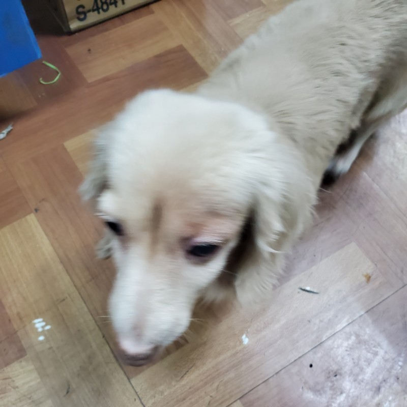 產地台灣 特選花生花生土豆鹹酥花生零食花生帶殼花生零食伴手禮落花生紅土花生 蝦皮購物