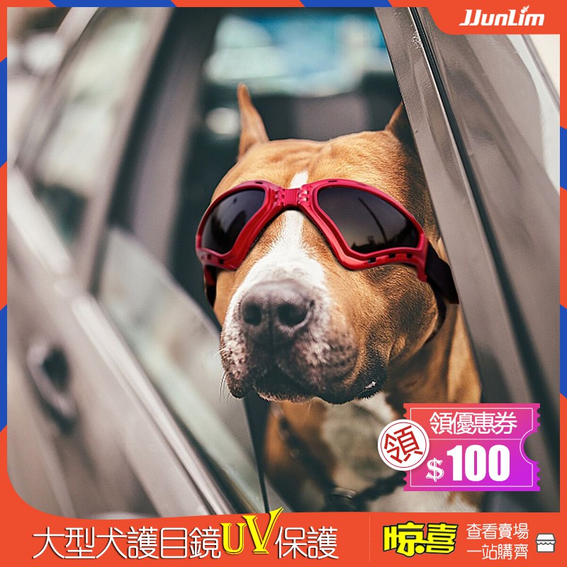 寵物眼鏡寵物墨鏡狗狗眼鏡狗狗太陽眼鏡寵物防護眼鏡抗uv 防紫外線狗護目鏡眼鏡保護 中大型犬 現貨 蝦皮購物
