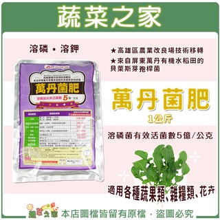 【蔬菜之家滿額免運】萬丹菌肥1公斤(溶磷菌.貝萊斯芽孢桿菌)天然植物生長激素，增加好菌，降低植物病害，溶磷