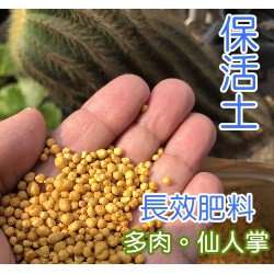 保活土長效肥料 推薦 多肉植物使用 15 15 15 蝦皮購物