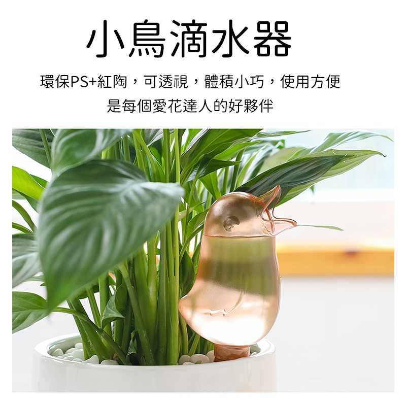 小鳥滴水器自動澆花器懶人澆花神器澆水神器盆栽澆水器植物澆水器自動澆水器澆花器 蝦皮購物