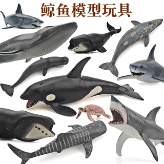【現貨】模擬實心海洋動物玩具海底生物世界模型 大號大白鯊虎鯨藍鯨抹香鯨灰鯨鯨鯊鯨魚鯊魚 兒童早教認知海洋大百科禮物
