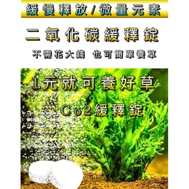 水草co2錠二氧化碳緩釋錠二氧化碳片co2片微量元素草缸莫斯莫絲moss 蝦皮購物