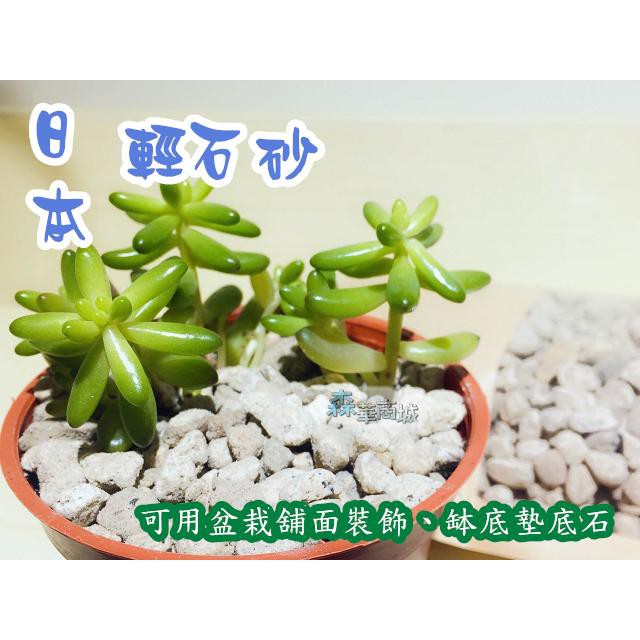 森華商城 園藝用土 日本輕石砂 輕石透氣適用於多肉植物和蘭花等 舖面石或墊底石 蝦皮購物