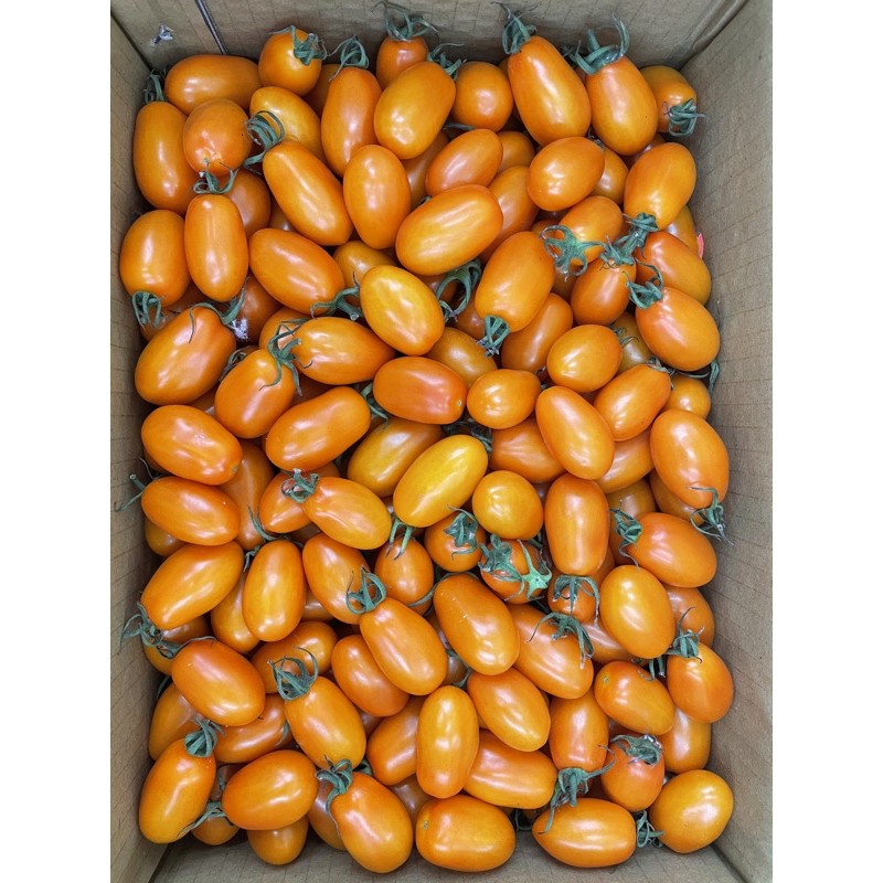 美濃橙蜜小番茄  一斤65