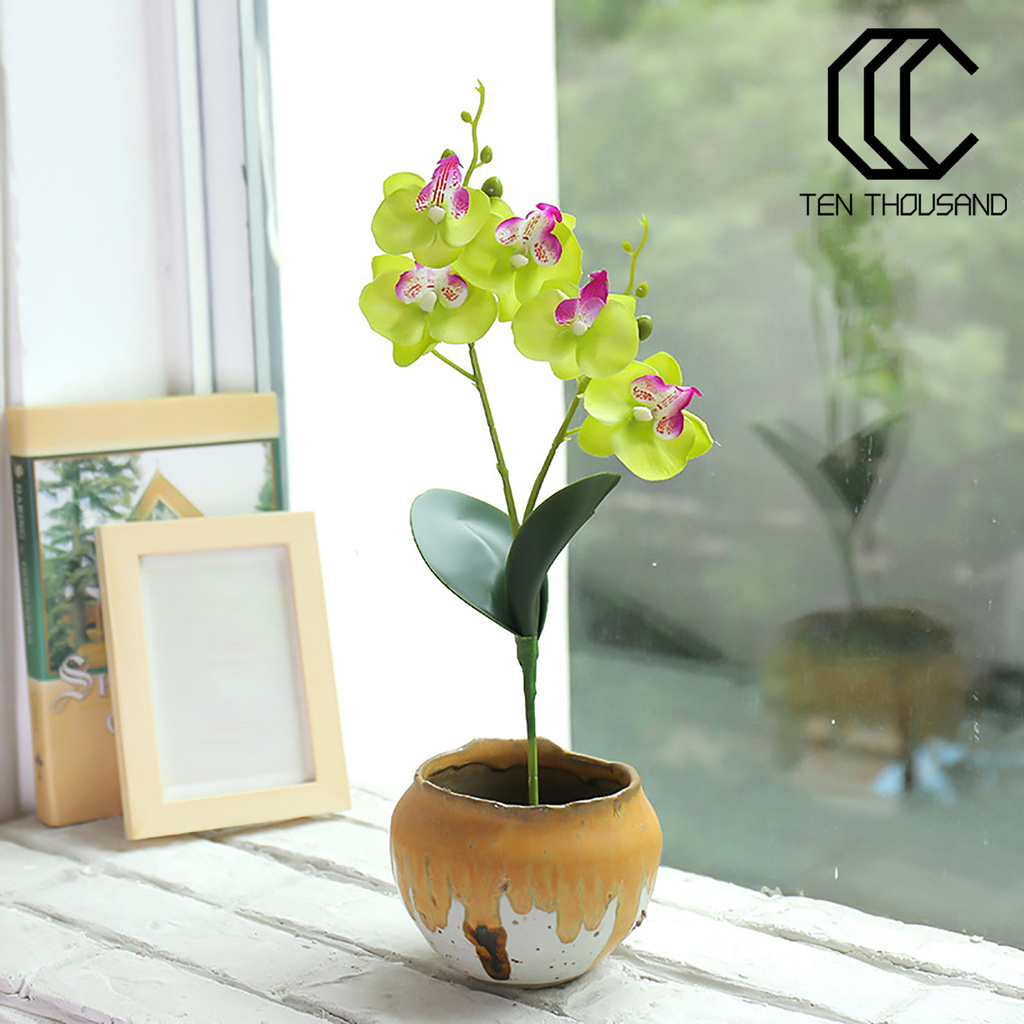 帳篷和 人造花蝴蝶蘭花diy 植物牆面配件家居裝飾 蝦皮購物