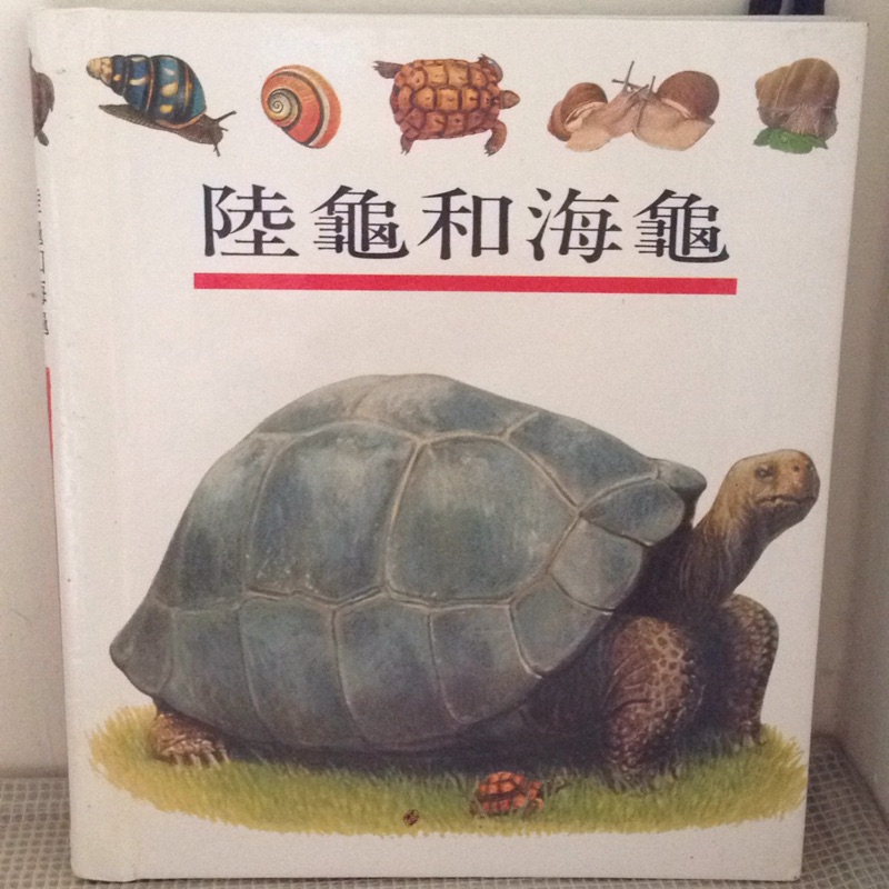 【書籍】第一個發現-陸龜與海龜