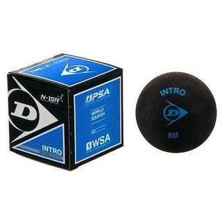 總統壁球 迴力球(自取可刷國旅卡) DUNLOP INTRO 藍點 壁球 迴力球 SQUASH BALL 單顆 110