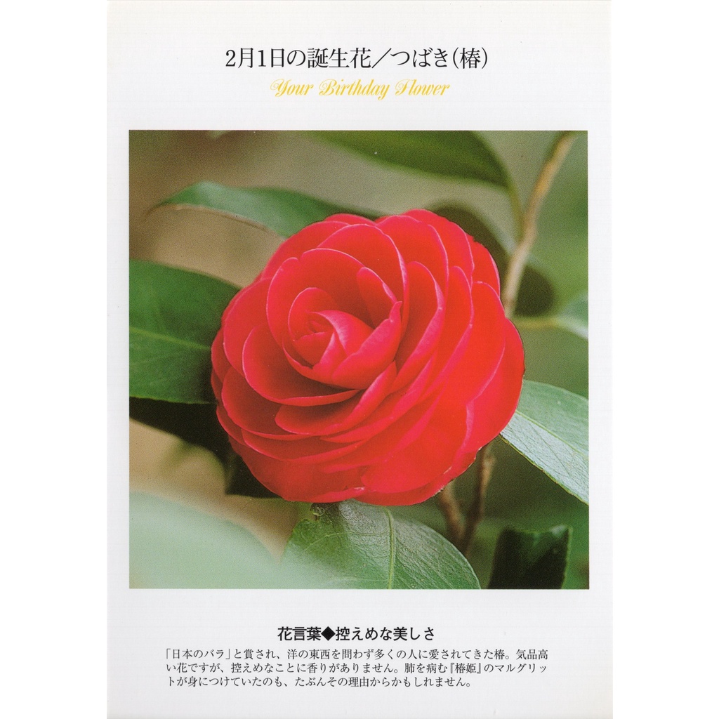 誕生花 優惠推薦 22年10月 蝦皮購物台灣