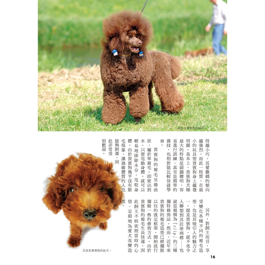漢欣 超人氣犬種圖鑑best 185 暢銷版 蝦皮購物