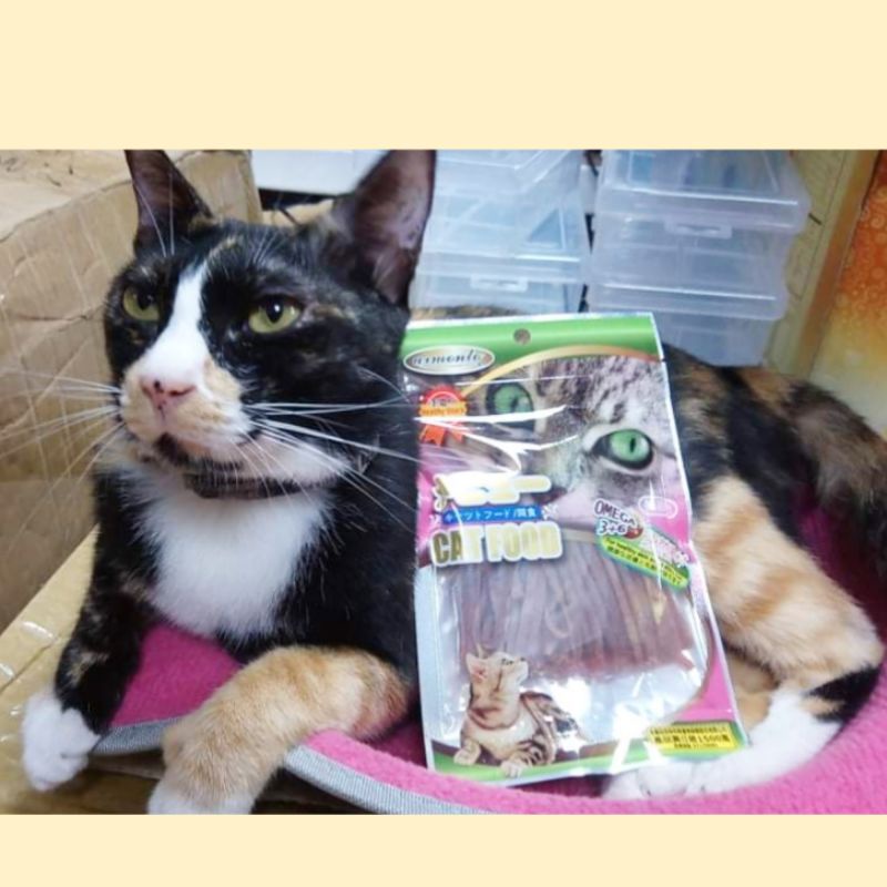 Armonto 阿曼特 AM 貓用零食 貓咪零食  鮭魚皮鮭魚丁 細切鮪魚條 貓專用零食 60g