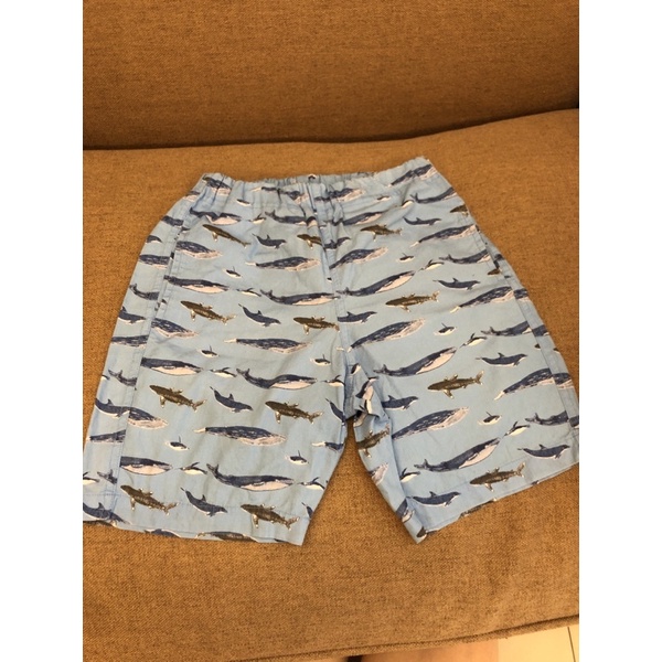 Uniqlo 海灘褲 海底世界藍 清涼短褲 男寶