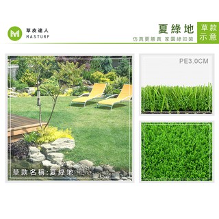 【草皮達人】人工草皮PE-3.0cm 夏綠地 每平方公尺NT700元(量大可議) 園藝 景觀 裝潢 空間設計