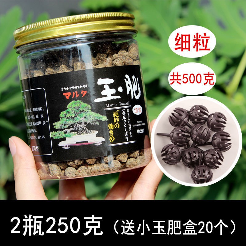 特惠 玉肥肥料日本原裝進口松柏花卉多肉有機緩釋肥盆景專用通用肥料盒 蝦皮購物