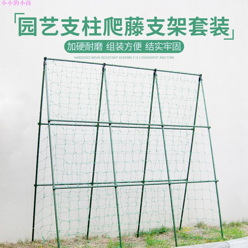 園藝支柱支架套裝豆角架黃瓜架子花支柱配爬藤網菜園蔬菜支架種植 蝦皮購物