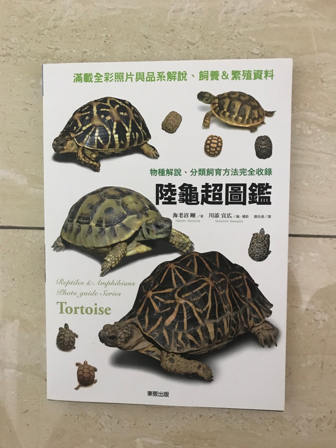 阿飛小店 陸龜超圖鑑 物種解說 分類飼育方法完全收錄海老沼剛 著 台灣東販出版 蝦皮購物