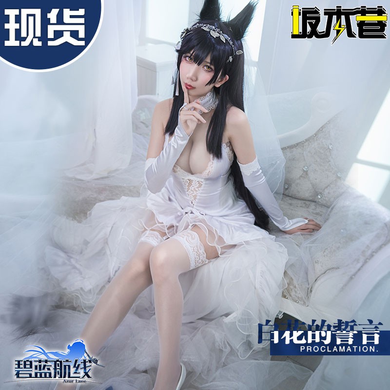 愛宕犬 優惠推薦 21年7月 蝦皮購物台灣