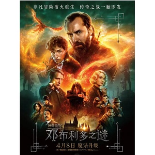 秘密dvd Cd Dvd優惠推薦 娛樂 收藏22年11月 蝦皮購物台灣