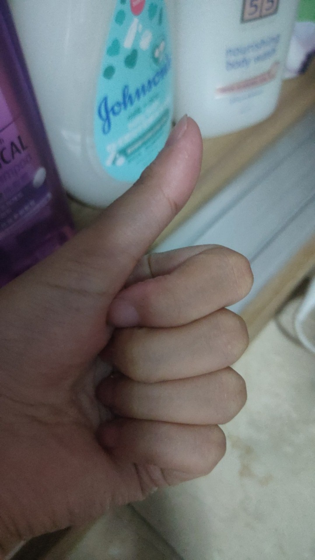 烤肉丼飯 秀夫日式烤肉飯 文山店 蝦皮購物