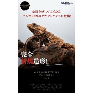 【尼克日本水族】現貨❗️BANDAI萬代生物大圖鑑犰狳蜥扭蛋公仔 萬代蜥蜴