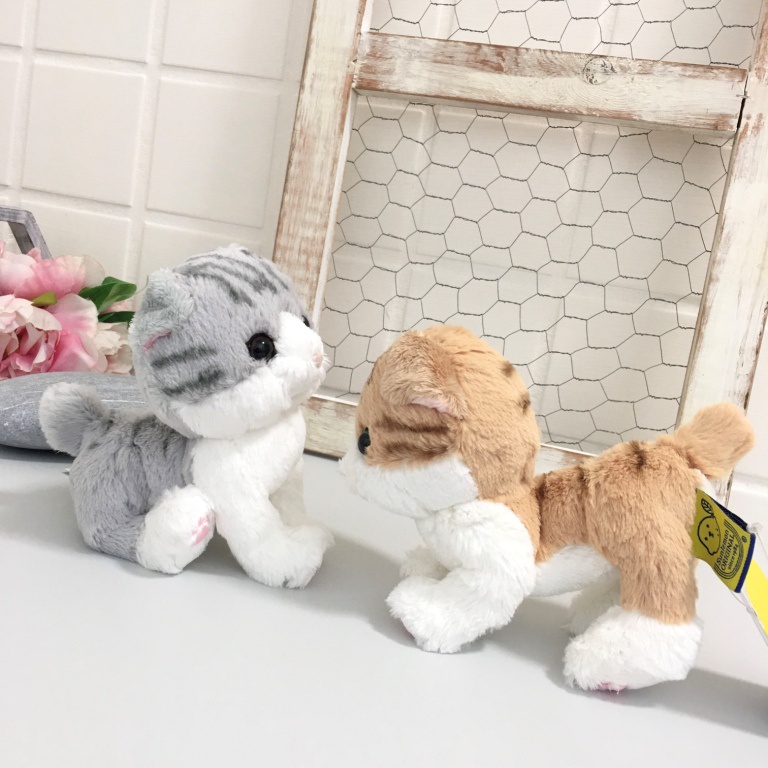 【現貨🌷】Sunlemon 蘇格蘭 摺耳貓 玩偶 擬真 日本進口 Kitten 貓咪 坐姿娃娃 拍照 療癒 交換禮物