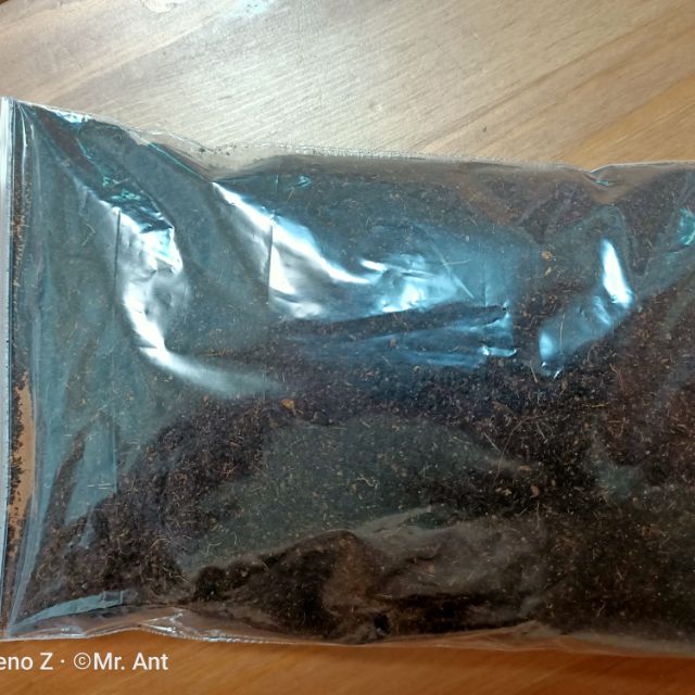 Cdm 5肉食蟻結繭專用土 蝦皮購物