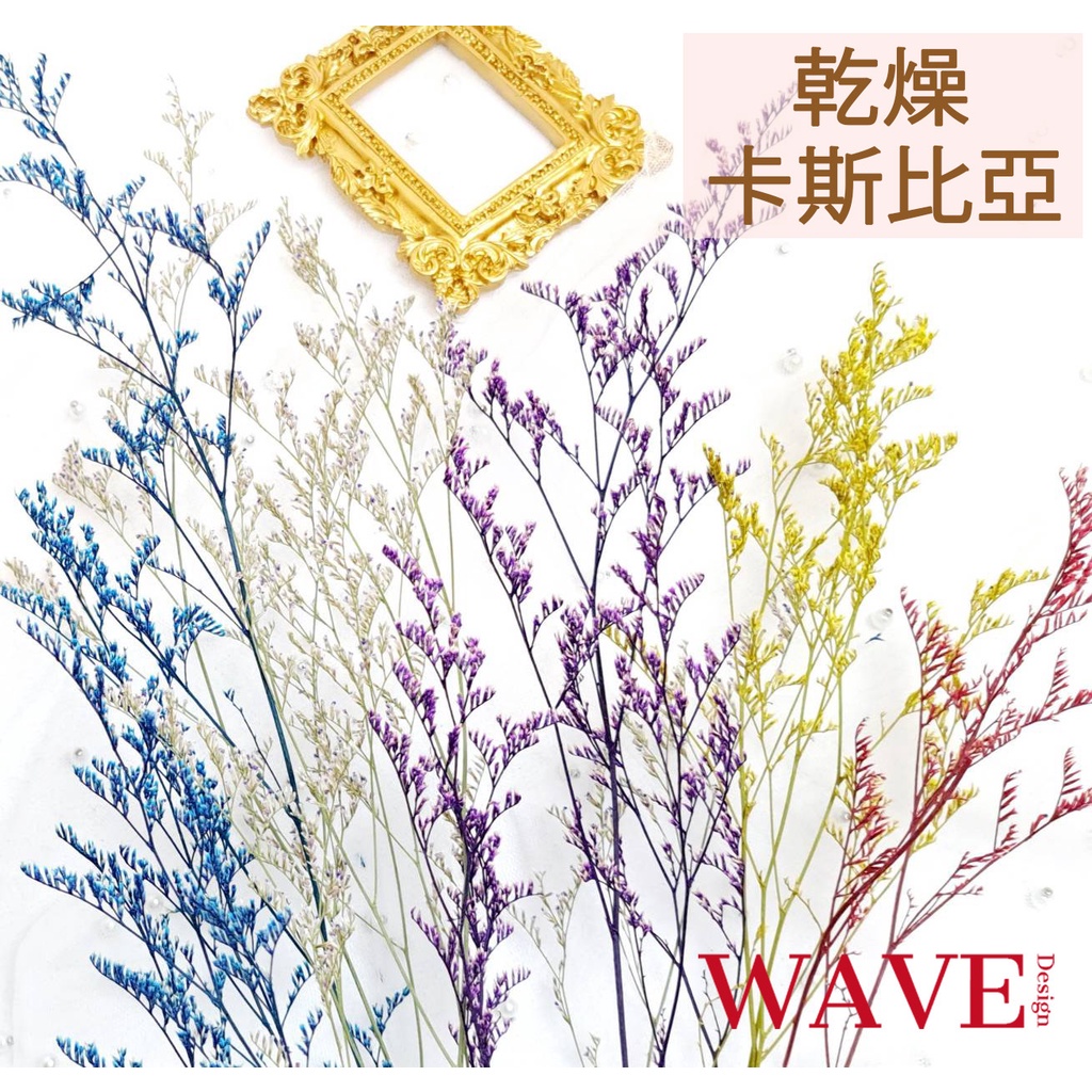 《WAVE Design》台灣現貨 卡斯比亞 乾燥花材 天然乾燥花 植物果實 花材 花藝材料 拍照道具 永生花 情人草