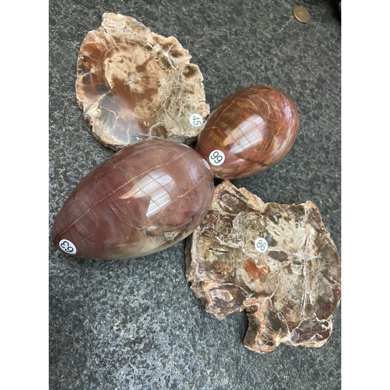 矽化木 木化石 木變石能量片狀 能量蛋形3 15前特價 Guo100 1k 2 4 蝦皮購物