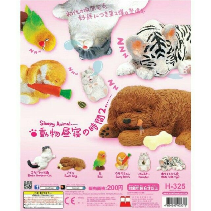 動物午休時間休憩睡覺鸚鵡貴賓白老虎倉鼠睡眠 蝦皮購物