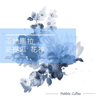 咖啡熟豆 花神 卡摩娜莊園 安提瓜產區 水洗 瓜地馬拉 咖啡豆 波雷克堤咖啡 每單限重4公斤