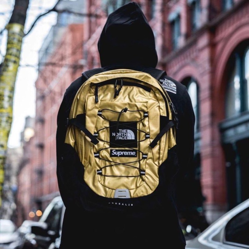 supreme north face gold backpack