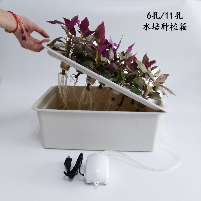 植物箱 優惠推薦 21年7月 蝦皮購物台灣
