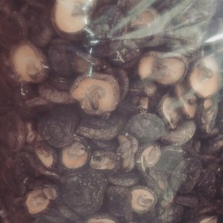 高山香菇 椴木香菇