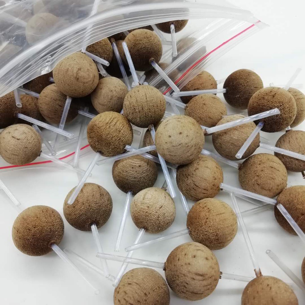 碳化圓球 巴爾杉木漂胚 浮漂材料 浮標 素材 高檔浮漂材料中通孔孔徑1.0毫米10pcs