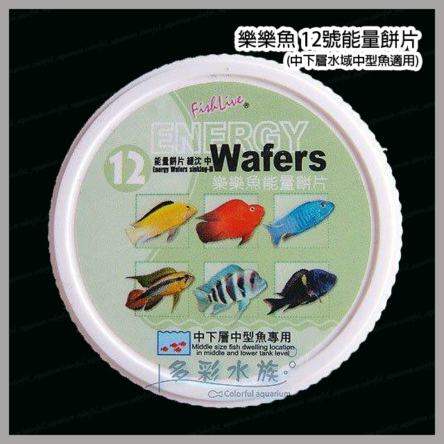多彩雲水族 台灣fishlive樂樂魚 中下層水域中型魚能量餅片 12號緩沉飼料 280ml 1100ml 中顆粒 蝦皮購物