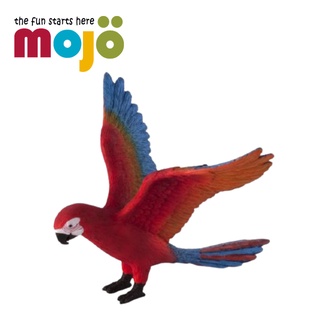 Mojo Fun動物模型 -鸚鵡