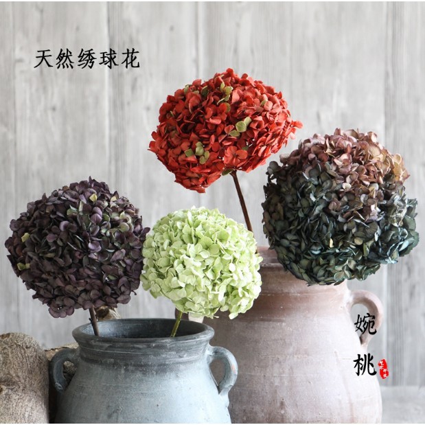 繡球 天然幹花永生花束真花家居拍照櫥窗裝飾diy插花風乾花材 蝦皮購物