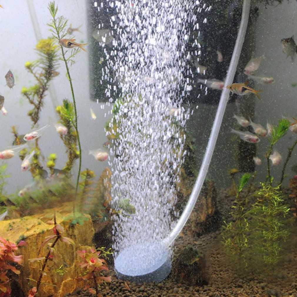 碳化矽氣泡盤 曝氣盤 氣泡盤 池塘水培空氣 石頭氣泡盤 曝氣機 水族箱魚缸 氣泡盤