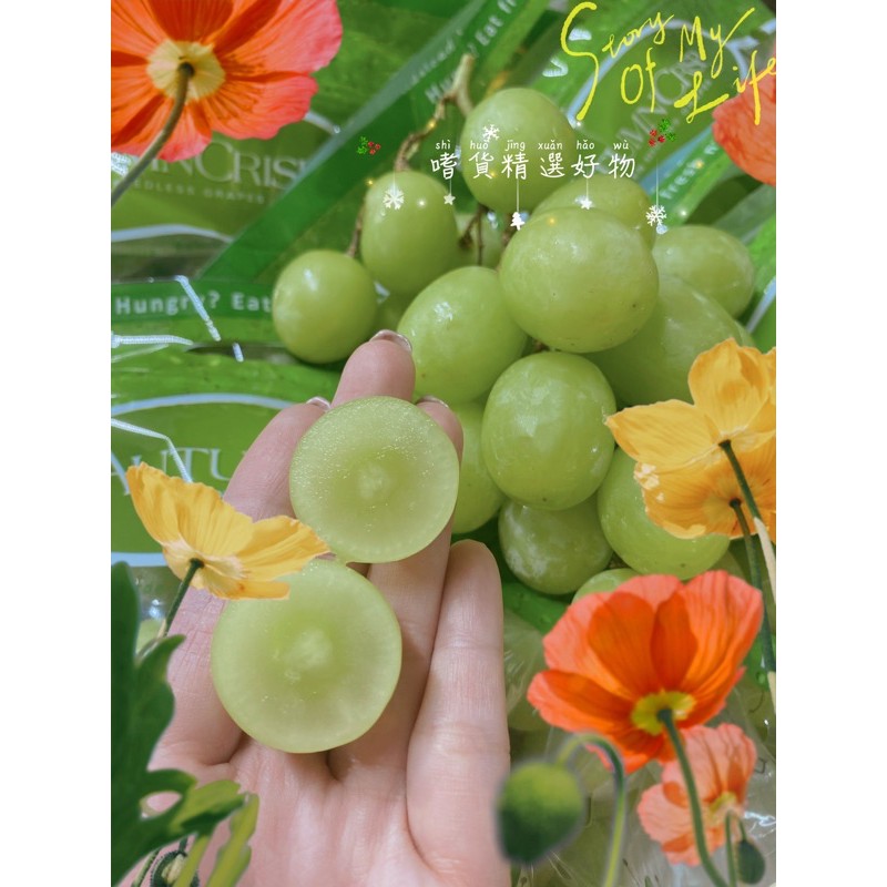 超好吃秋脆葡萄多件優惠秋翠葡萄秘魯麝香葡萄祕魯麝香葡萄q彈果肉美國綠無籽葡萄南非秋脆美國秋脆甜地球