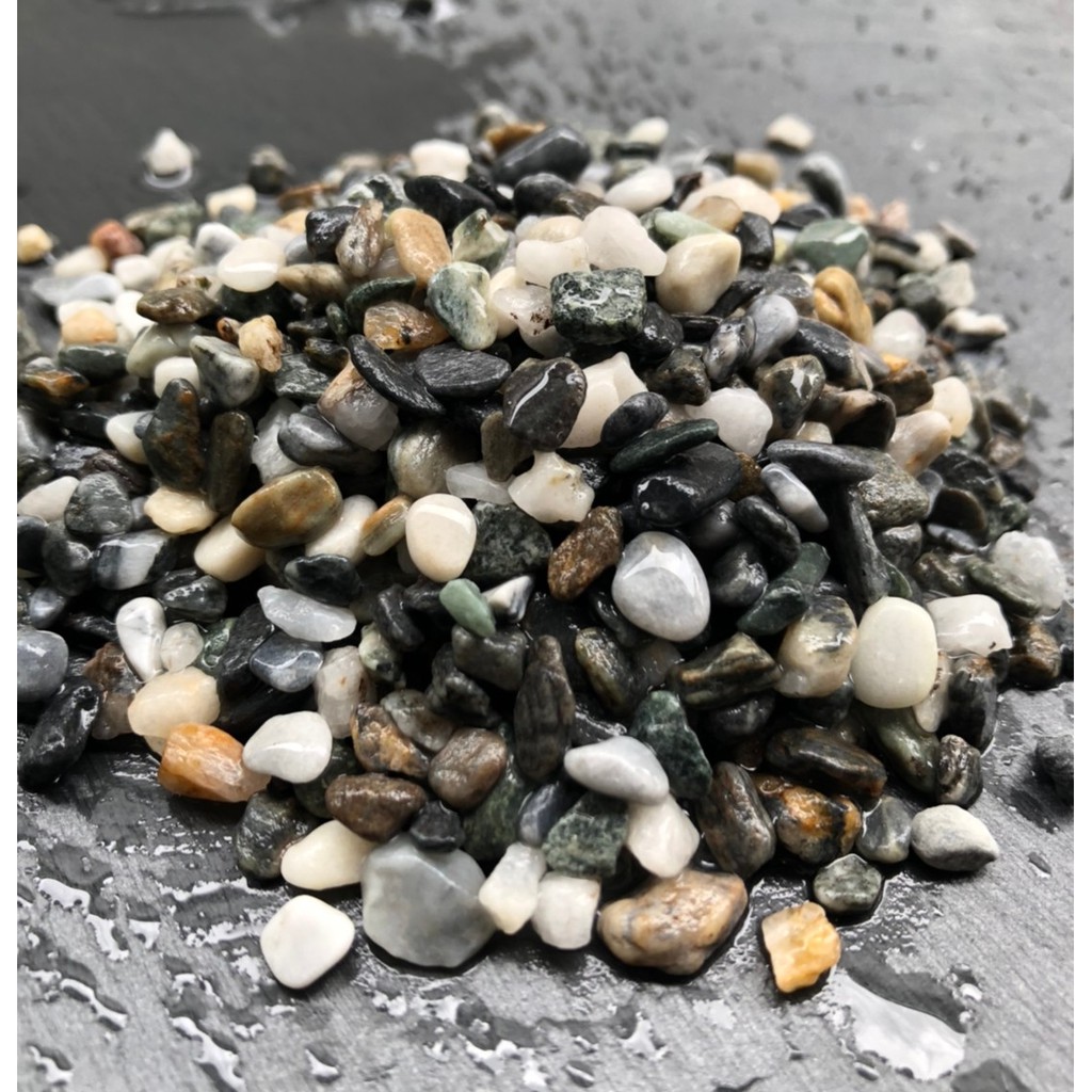 嚴選底沙宜蘭石1 2 水草種植 魚缸造景 黑土底土底砂底床水草黑土水草基肥亞馬遜水草泥泥土大磯砂 蝦皮購物