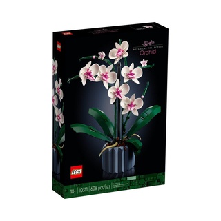 【積木樂園】樂高 LEGO 10311 創意系列 蘭花 Botanical Collection Orchid