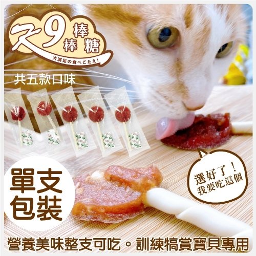 48H出貨 K9wang K9美味營養棒棒糖系列 20g±5%(單支入)多種口味可選 全年齡 犬貓適用『Q老闆』